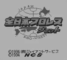 Image n° 1 - screenshots  : Zen-Nippon Pro Wrestling Jet
